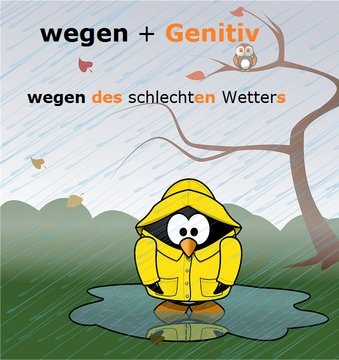 wegen Genitiv - nemackiabc.com